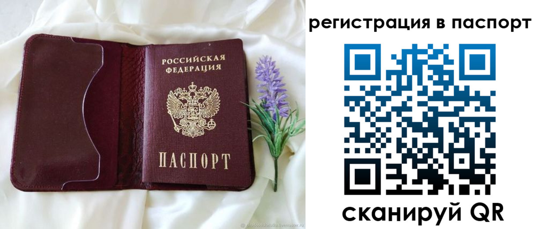 временная регистрация для всех в Димитровграде